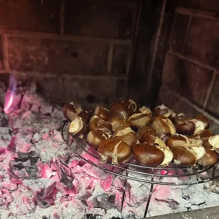 Syzes Polisi i Vogel