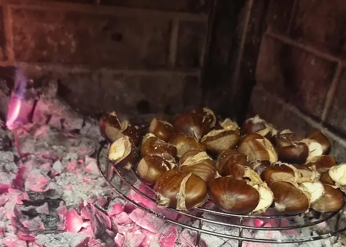 Syzes Polisi i Vogel